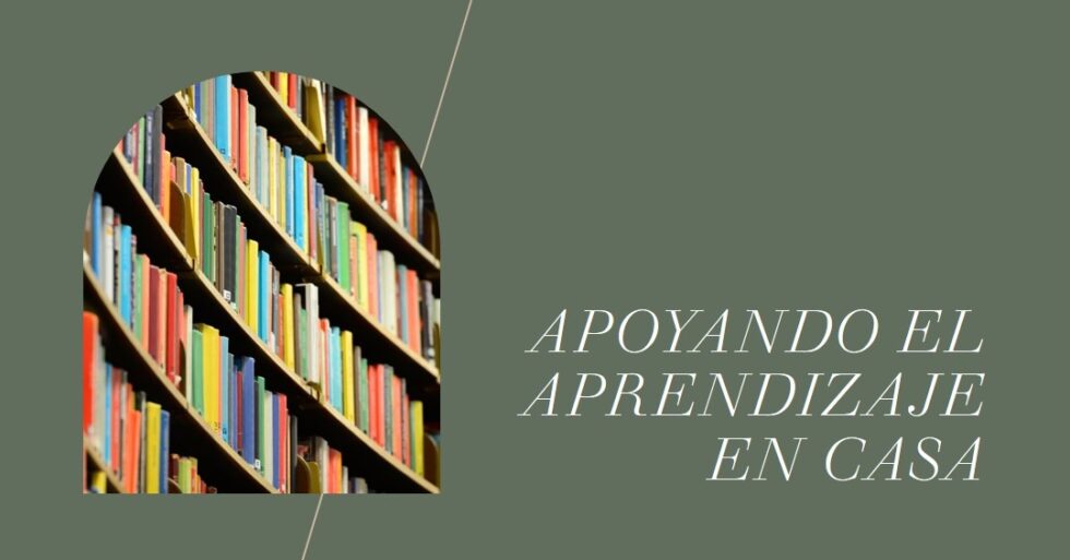 Cómo apoyar el aprendizaje en casa - La Escuela Viva